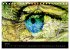 MEDIA-ART Der Kunstkalender... - Bild 13
