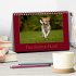 Faszination Hund (Tischkalender 2026... - Bild 2