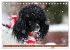 Faszination Hund (Tischkalender 2026... - Bild 5