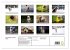 Fotogalerie Fotogalerie