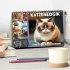 Katzenlogik - Wenn Blicke miauen... - Bild 2