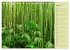 BAMBUS (Tischkalender 2026 DIN A5... - Bild 11