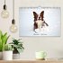 Border Collies (Wandkalender 2026 DIN... - Bild 2