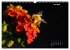 Der Natur auf der Spur -... - Bild 12