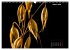 Der Natur auf der Spur -... - Bild 14