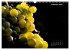 Der Natur auf der Spur -... - Bild 15