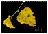 Der Natur auf der Spur -... - Bild 3