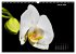Der Natur auf der Spur -... - Bild 7