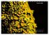 Der Natur auf der Spur -... - Bild 8