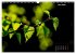 Der Natur auf der Spur -... - Bild 9