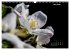 Der Natur auf der Spur -... - Bild 10