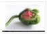 Mohn im Porträt (Wandkalender 2026 DIN... - Bild 10