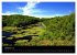 Wales Pembrokeshire - Natur im Fokus-... - Bild 2