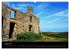 Wales Pembrokeshire - Natur im Fokus-... - Bild 13