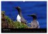 Wales Pembrokeshire - Natur im Fokus-... - Bild 14