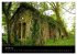 Wales Pembrokeshire - Natur im Fokus-... - Bild 6