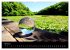 Wales Pembrokeshire - Natur im Fokus-... - Bild 9