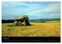 Wales Pembrokeshire - Natur im Fokus-... - Bild 10