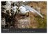 Vögel im Norden Europas (Wandkalender... - Bild 3