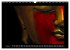 Buddha - Harmonie und Entspannung... - Bild 13