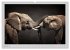 Elefanten - Portraits der besonderen... - Bild 4