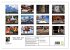 Fotogalerie Fotogalerie