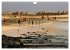 Kap Verde (Wandkalender 2026 DIN A4... - Bild 12