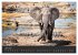 Elefanten - Graue Riesen (Wandkalender... - Bild 12