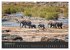 Elefanten - Graue Riesen (Wandkalender... - Bild 15
