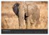 Elefanten - Graue Riesen (Wandkalender... - Bild 4