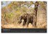 Elefanten - Graue Riesen (Wandkalender... - Bild 5