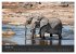 Elefanten - Graue Riesen (Wandkalender... - Bild 7