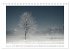 Melancholie-Bodensee 2026... - Bild 7