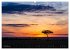 Masai Mara 2026 (Wandkalender 2026 DIN... - Bild 5