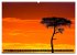 Masai Mara 2026 (Wandkalender 2026 DIN... - Bild 7