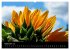 Fotogalerie Fotogalerie