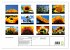 Fotogalerie Fotogalerie