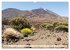 Teneriffa Entspannung Pur (hochwertiger... - Bild 4
