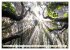 Teneriffa Entspannung Pur (hochwertiger... - Bild 7