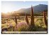 Teneriffa Entspannung Pur (hochwertiger... - Bild 10