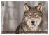 Wölfe. Graue Eminenzen (hochwertiger... - Bild 6