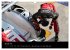 24 Stunden in Le Mans (Wandkalender... - Bild 7