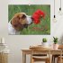 Beagle (Wandkalender 2026 DIN A2 quer),... - Bild 2