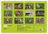 Beagle (Wandkalender 2026 DIN A2 quer),... - Bild 6