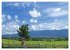 Murnau und das Blaue Land - Aquarelle... - Bild 9
