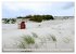 Amrum, die Perle in der Nordsee... - Bild 6