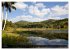 Cuba (Wandkalender 2026 DIN A2 quer),... - Bild 13