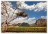 Cuba (Wandkalender 2026 DIN A2 quer),... - Bild 7