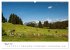 Oberallgäuer Landschaft (Wandkalender... - Bild 12