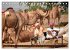 Indien - Rajasthan (Tischkalender 2026... - Bild 4